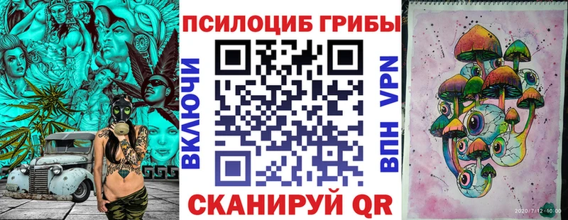OMG зеркало  Лесной  Псилоцибиновые грибы ЛСД 